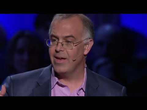 TED Talks: The Social Animal: David Brooks 2011 | The Road to Character